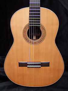 Classical concert guitar