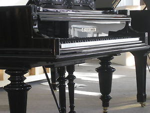 C. BECHSTEIN - 203 cm - Flügel vollst. überholt  von REHA-PIANO-AURICH