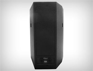 DP-112 Loudspeaker/monitor 30x60 dispersion and pole mountable
