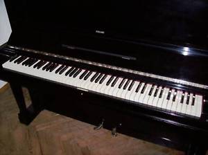 STEINWAY & SONS Klavier Konzertpiano Piano Pianofort