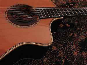 + RARE + BREEDLOVE PRO SERIES C25/CRH + CUSTOM SHOP FEATURES + PREMIER LEAGUE +