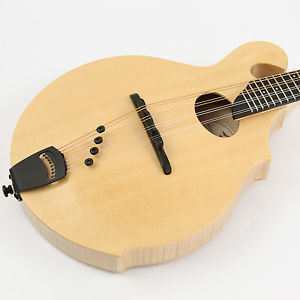 2000s Breedlove American FO Mandolin W/ OHSC!