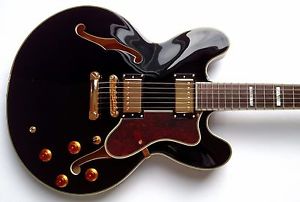 Epiphone Sheraton II Semi-Hollow Electric Guitar 2014 Ebony w/OHSC