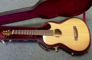 MINT Terry Pack PLRS Parlour guitar, plays awesome, solid rosewood, half price!!
