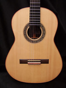Classical concert guitar
