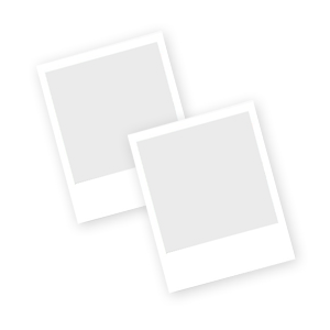 analog solutions telemark