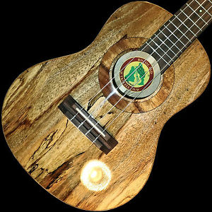 Big Island Ukulele 3-BI-MO-TR Tenor All Solid Hawaiian Mango & H/S Case, Glossy