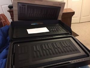 Roli Seaboard RISE 25