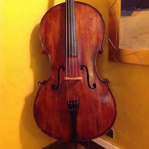 Violoncello
