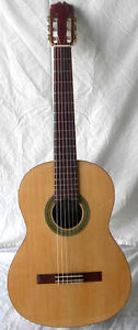 Pilarte Grand Concert 6 String Guitar GP-55