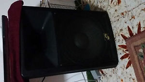 2 casse Lemm amplificate da 300W