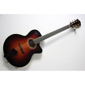 EASTMAN AR-804C Used w/ Semi hard case