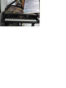 PIANOFORTE A CODA C.BECHSTEIN