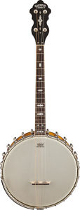 Gretsch G9480 Laydie Belle Irish Banjo