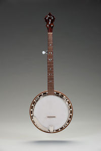 Custom Built 5-String Bluegrass Banjo