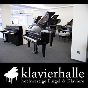 Exklusiver Berdux Design Flügel, 140cm, schwarz/chrom poliert - neuwertige Optik