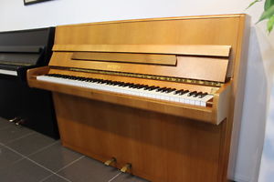 Euterpe Klavier, vom Klavierbaumeister, deutsche Produktion