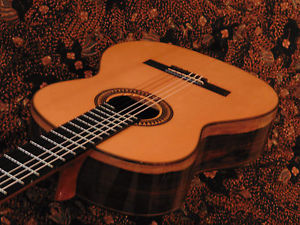 + VERY RARE + FRANCISCO BARBA + FLAMENCO GUITAR + STUNNING COCOBOLO + TOP! +