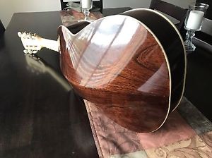 Vihuela Ruben Morales Brand New With Case