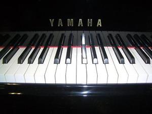 Yamaha C3 Grand. Fully reconditioned - 5 yr guarantee