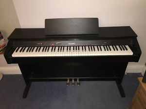 Casio Celviano AP-250 Digital Piano