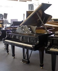 STEINWAY & SONS FLÜGEL MODELL B-211 ,TOPP INSTRUMENT,BJ 1986,MIT GARANTIE!!!