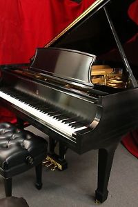 Steinway L 2005 Grand Piano 5'10.5" (SEE SONNY'S VIDEO) SHOWROOM CONDITION