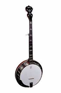 Deering Sierra bluegrass banjo and case- 06 tone ring. Hear it!