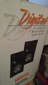 DJ Speakers