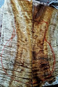 Curly koa solid body blank guitar bass craft exotic figured wood set, knife
