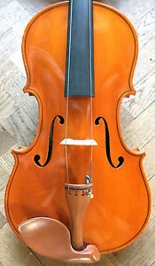 Viola (2) Salvatore Mangiacasale Torino 1991, VIDEOCLIP Certificate upon request