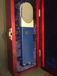 blue blueberry microphone