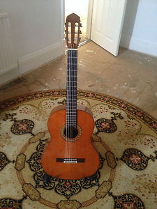 Yamaha Concert Guitar GC 3D