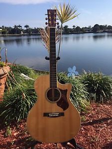 C.F Martin & Co Artist Performing Acoustic/Electric Guitar