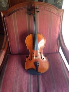 French Viola