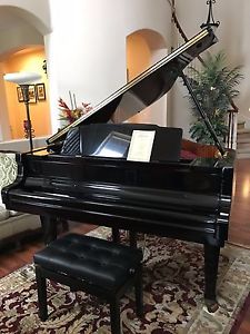 5' Black Rieger-Kloss Baby Grand - MINT Condition - Make Offer!