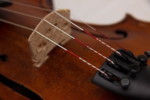 Masterviolin *Antonio Zerboni Milano 1836*