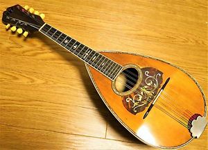Vintage Martin Mandolin roundback/bowlback in good condition