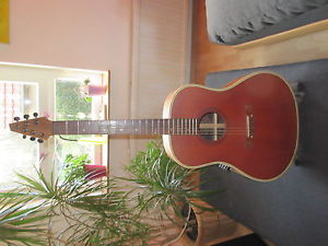 Westerngitarre - Einzelstück - mit Hals aus Kohlefaser (Graphithals)