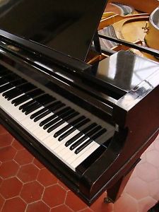 Ehrbar mit Renner Flügel Stutzflügel Salonflügel Klavier Grand Piano Pianoforte