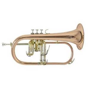 Flicorno Vincent Bach FH501 Flicorno Soprano Sib CON ASTUCCIO Bach