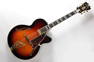 D'Angelico NYL-2 SUNBURST Electric Free Shipping