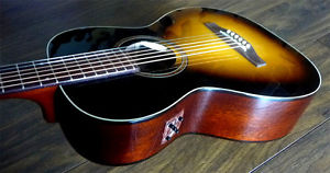 Zager EZ-Play Modified Simon & Patrick Folk Woodland Acoustic Electric Guitar