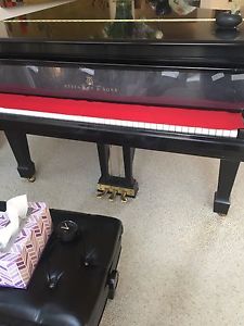 2001 Steinway model b