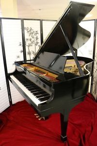 Steinway M Semi-Gloss Ebony "Golden Age" Grand Piano (SEE VIDEOS)