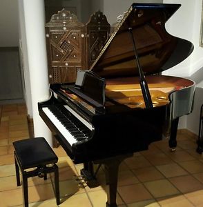 Bechstein Flügel 186 x 150 x 102 (L x B x H)