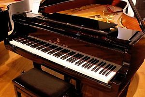 Steinway Flügel B-211 Bj. 1969 Generalüberholt