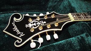 Vintage Washburn Mandolin Model M6SWK in Excellent condition with Case