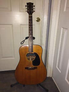 Vintage Gibson Blueridge Guitar