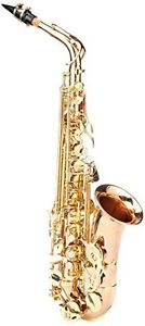 Ravel Paris Ras302rb Professiona